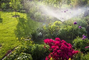 Rasensprenkler bewässert einen Blumengarten